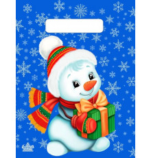 Пакет НГ прорубка 19*25=30 