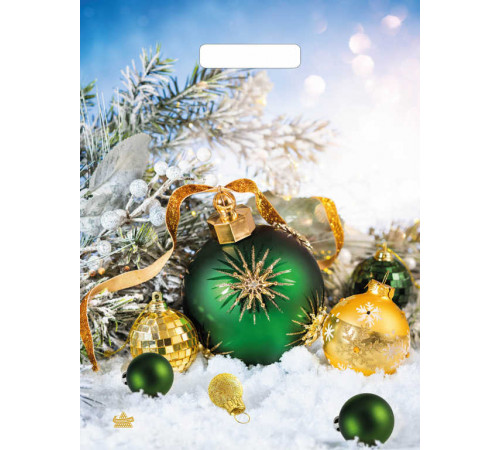 Пакет НГ прорубка 31*40=30 