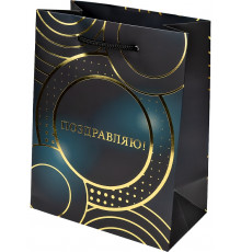 Dream cards Пакет подарочный с мат.лам. и тис.фол.. 18х23х10 см (M) Круги, 190г ППК-2749