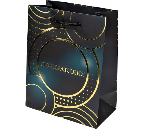 Dream cards Пакет подарочный с мат.лам. и тис.фол.. 18х23х10 см (M) Круги, 190г ППК-2749