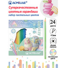 Набор цветных пастельных карандашей ACMELIAE Pastel Artmate 24цв. в картонном футляре, 43188