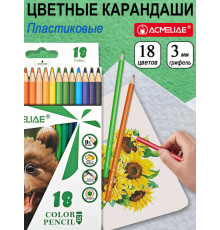 Набор цветных пластиковых шестигранных карандашей ACMELIAE 18цв. в картонном футляре, PCP-018