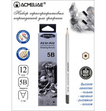 Карандаш чернографитный 5B ACMELIAE шестигранный, корпус серебряный, 8000-5B EAN