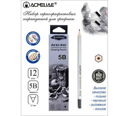 Карандаш чернографитный 5B ACMELIAE шестигранный, корпус серебряный, 8000-5B EAN