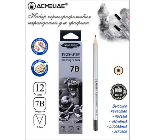 Карандаш чернографитный 7B ACMELIAE шестигранный, корпус серебряный, 8000-7B EAN
