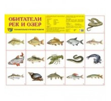 Демонстрационный плакат А2. Обитатели рек и озер