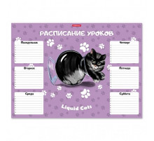 Расписание уроков ErichKrause Жидкие коты, А3 58299