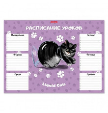 Расписание уроков ErichKrause Жидкие коты, А3 58299