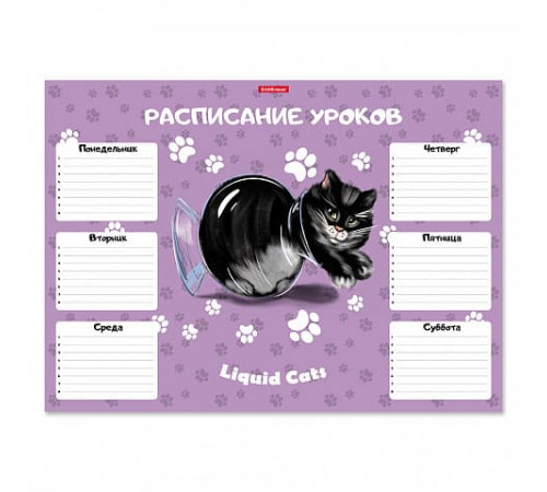 Расписание уроков ErichKrause Жидкие коты, А3 58299