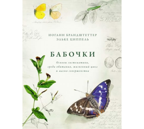 Бабочки. Основы систематики, среда обитания, жизненный цикл и магия совершенства