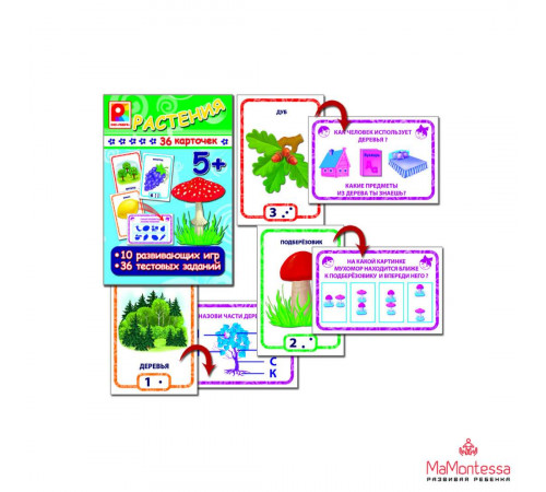 Игра с карточками. Растения. Игра развивающая для детей из бумаги и картона. С-912