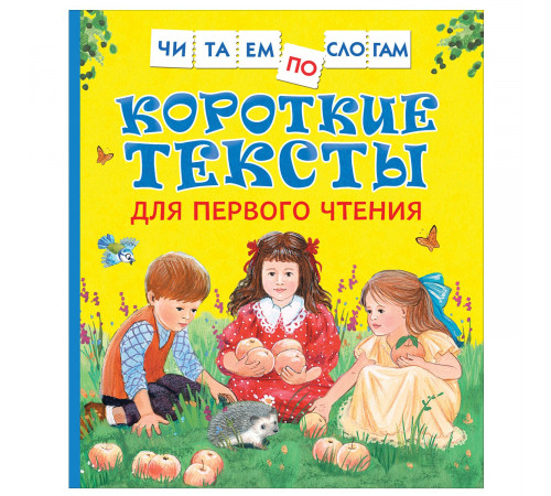 Читаем по слогам. Короткие тексты для первого чтения
