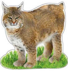 КОД А-...ф,т,с. Украшение На скотче (листья, звери, снежинки)