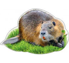 Бобр. Украш. На скотче а-113-523