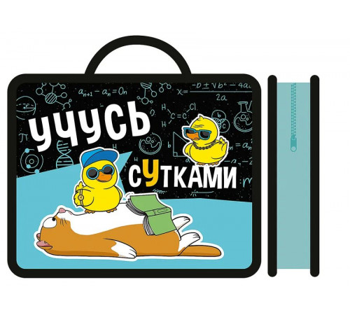 Папка детская  А4 пластиковая, с ручками 330/260/75 (30) / ПМ-А4-26, УЧУСЬ СУТКАМИ 2025 /