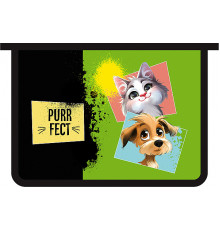 Папка для тетрадей А4 пластиковая, молния сверху с дизайном (50) / ПМ-А4-29, PURRFECT 2025