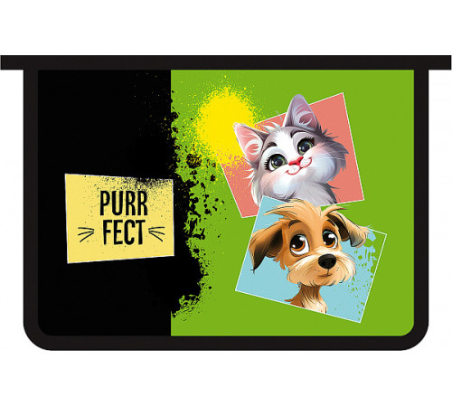 Папка для тетрадей А4 пластиковая, молния сверху с дизайном (50) / ПМ-А4-29, PURRFECT 2025