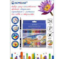 Набор стираемых цветных карандашей ACMELIAE 24цв в  картонном футляре, 43740