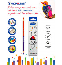 Набор цветных двусторонних трехгранных карандашей ACMELIAE 6шт/12цв. в картонном футляре, C06-12