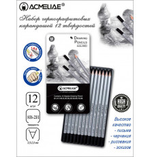 Набор чернографитных карандашей ACMELIAE 12 твердостей (2H,H,F,HB,B,2B,3B,4B,5B,6B,7B,8B) в металле, 44053