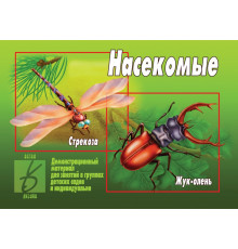 Игра-Насекомые- Д-293