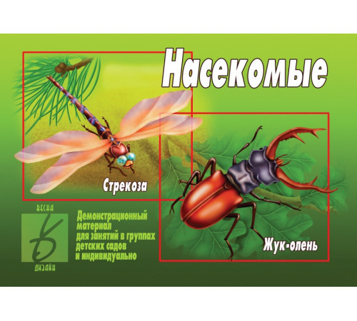 Игра-Насекомые- Д-293