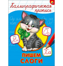 КАЛЛИГРАФИЧЕСКАЯ ПРОПИСЬ А4. ПИШЕМ СЛОГИ