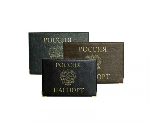 Обложка для паспорта Z 01зю800