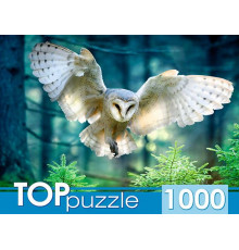 TOPpuzzle. ПАЗЛЫ 1000 элементов. ПОЛЕТ СОВЫ. (Арт.ШТ1000-3870)