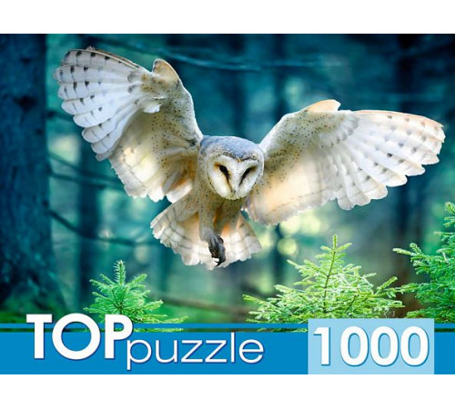 TOPpuzzle. ПАЗЛЫ 1000 элементов. ПОЛЕТ СОВЫ. (Арт.ШТ1000-3870)