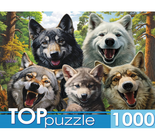 TOPpuzzle. ПАЗЛЫ 1000 элементов. Ф1000-7730  Селфи волков