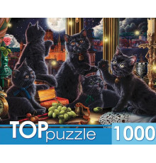 TOPpuzzle. ПАЗЛЫ 1000 элементов. ЧЕРНЫЕ КОТЯТА И СВЕТЛЯЧКИ. (Арт.Ф1000-3869)