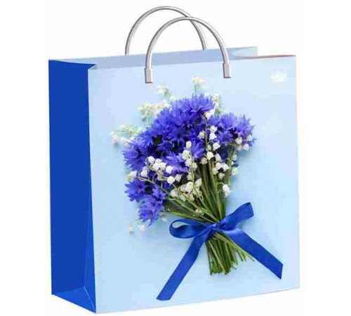 Сумка подар.