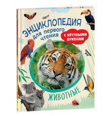 Животные. Энциклопедия для первого чтения с крупными буквами