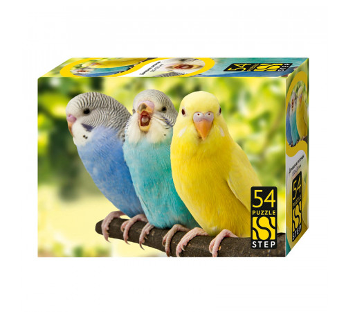 Др.Пазл.54эл.Мини.Домашние питомцы .71055