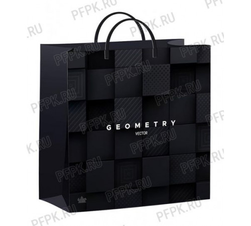 Сумка подар. (30*30*14) Вектор геометрии (1/40) №16