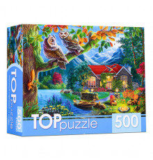 Пр.п.TOPpuzzle. ПАЗЛЫ 500 элементов.НОЧНОЙ ПЕЙЗАЖ И СОВЫ Ф500-6620 (арт. Ф500-6620)