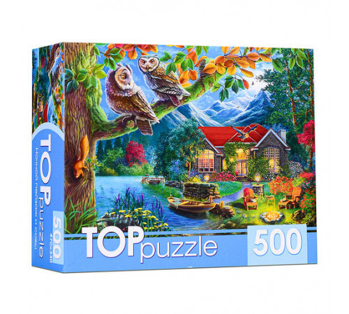 Пр.п.TOPpuzzle. ПАЗЛЫ 500 элементов.НОЧНОЙ ПЕЙЗАЖ И СОВЫ Ф500-6620 (арт. Ф500-6620)