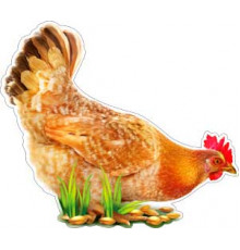 Плакат 