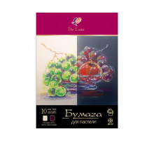 Бумага для пастели -ЛЮКС- в папке, А4, 10л, 2 цвета 33С 2161-08