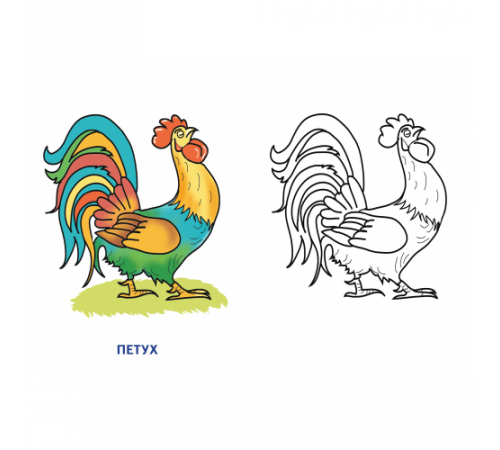 Раскраска для детей 2-4 лет. Домашние животные . Литур.