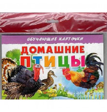 Обучающе карточки. Карточки (европодвес). Домашние птицы