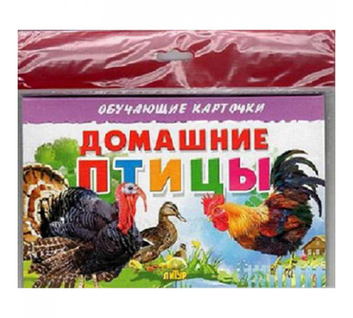 Обучающе карточки. Карточки (европодвес). Домашние птицы