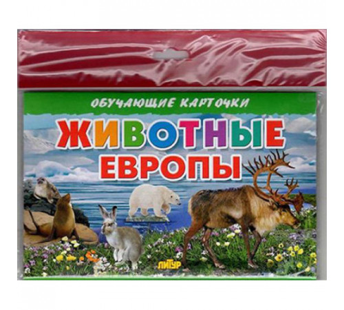 Обучающе карточки. Карточки (европодвес). Животные Европы . Литур. Обучающе карточки. Карточки (европодвес). Животные Европы . Литур.