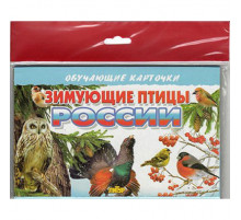 Обучающе карточки. Карточки (европодвес). Зимующие птицы России . Литур.