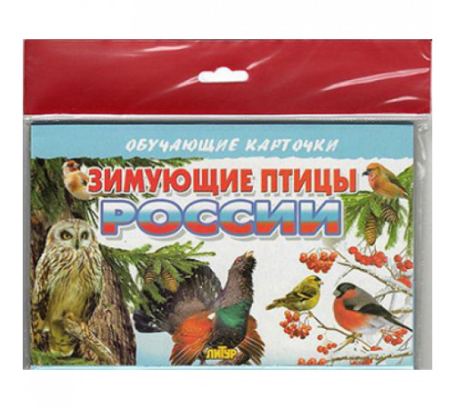 Обучающе карточки. Карточки (европодвес). Зимующие птицы России . Литур. Обучающе карточки. Карточки (европодвес). Зимующие птицы России . Литур.