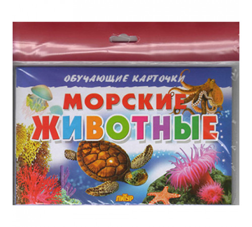 Обучающе карточки. Карточки (европодвес). Морские животные . Литур. Обучающе карточки. Карточки (европодвес). Морские животные . Литур.
