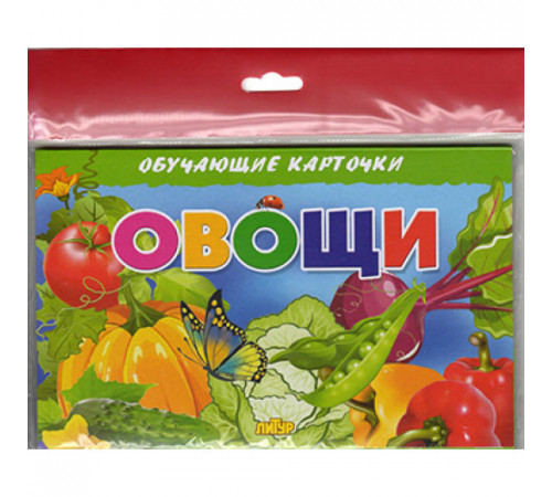 Обучающе карточки. Карточки (европодвес). Овощи Обучающе карточки. Карточки (европодвес). Овощи