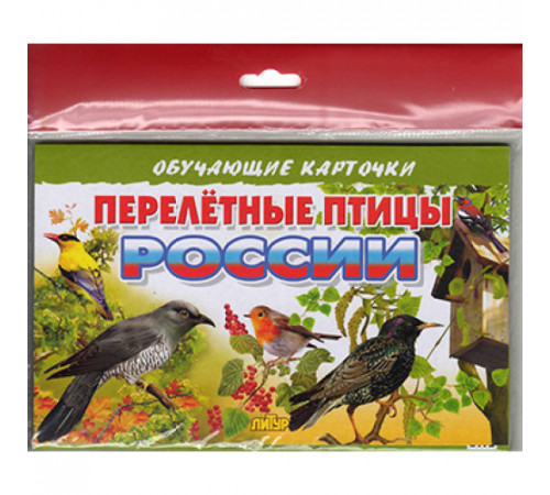Обучающе карточки. Карточки (европодвес). Перелетные птицы России Обучающе карточки. Карточки (европодвес). Перелетные птицы России