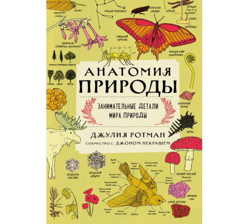 Non-fiction. Дети (7-10 лет) Анатомия природы. Занимательные детали мира природы Non-fiction. Дети (7-10 лет) Анатомия природы. Занимательные детали мира природы